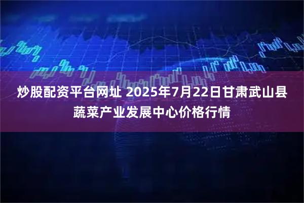 炒股配资平台网址 2025年7月22日甘肃武山县蔬菜产业发展中心价格行情